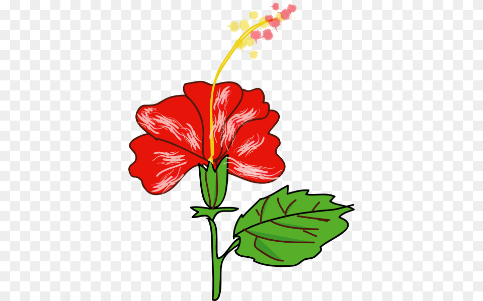 Rose Clipart Gumamela, Flower, Hibiscus, Plant, Dynamite Free Png