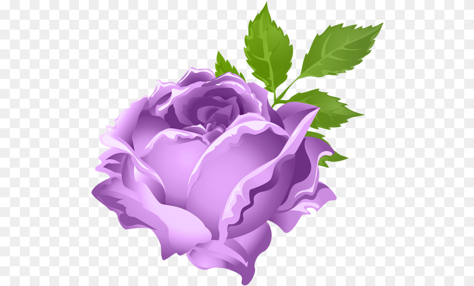 Rose Clipart Lavendar Orange Rose Clipart, Flower, Plant, Petal Free Transparent Png