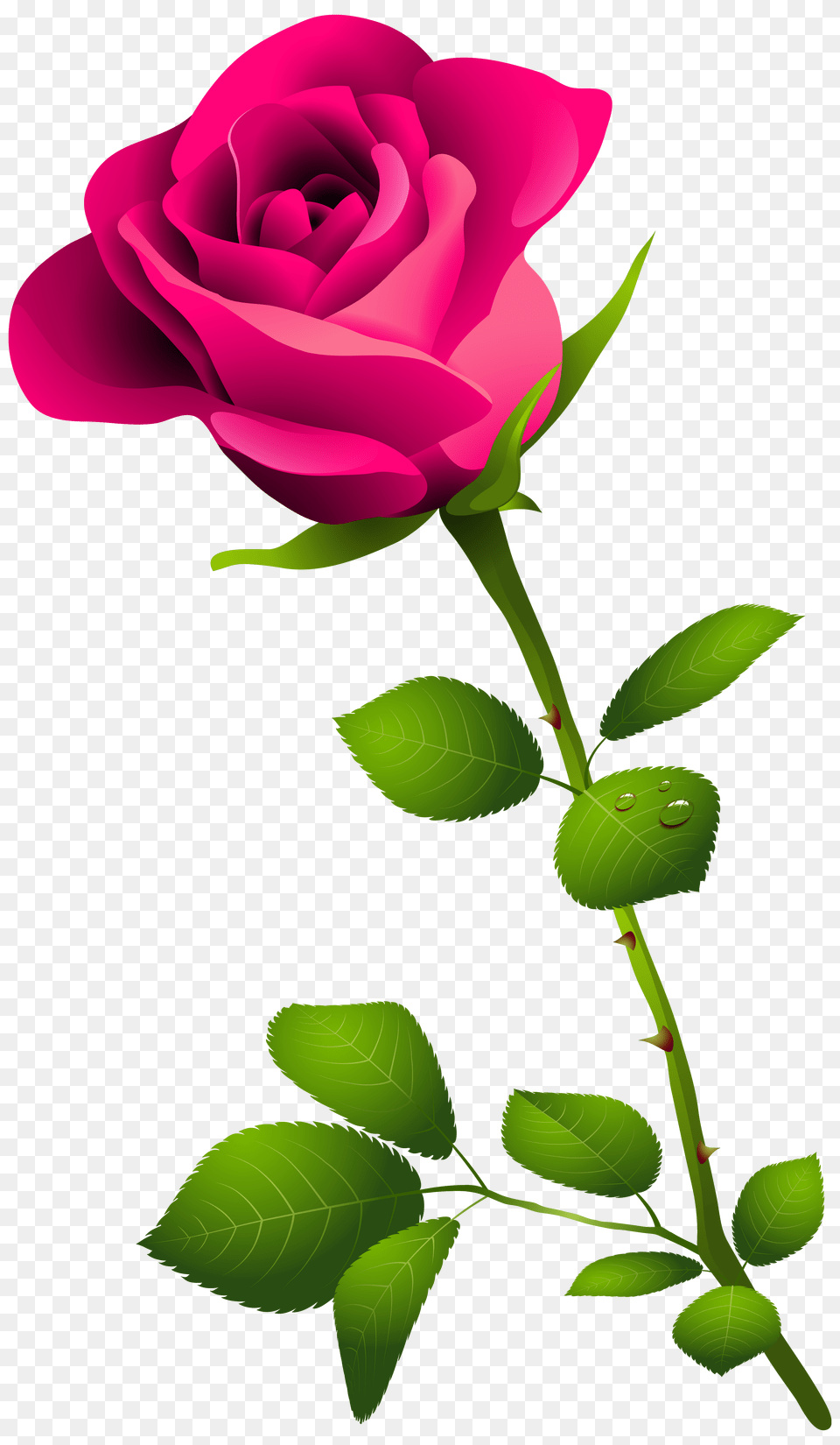 Rose Clipart Long Stem Rose, Flower, Plant Free Transparent Png