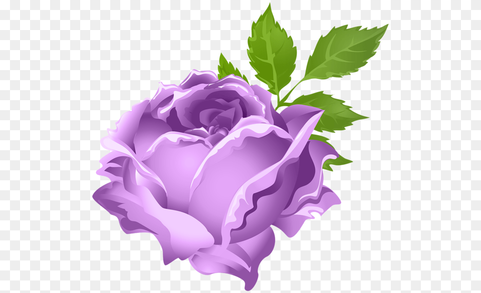 Rose Clipart Purple Roses Clipart, Flower, Plant, Petal Free Png