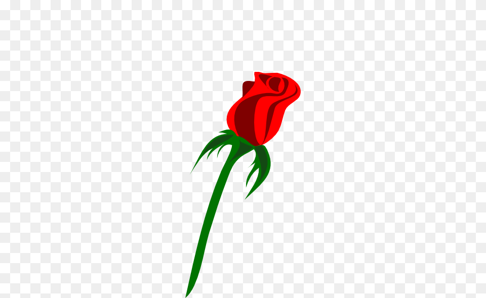 Rose Clipart Small, Flower, Plant, Dynamite, Weapon Free Transparent Png