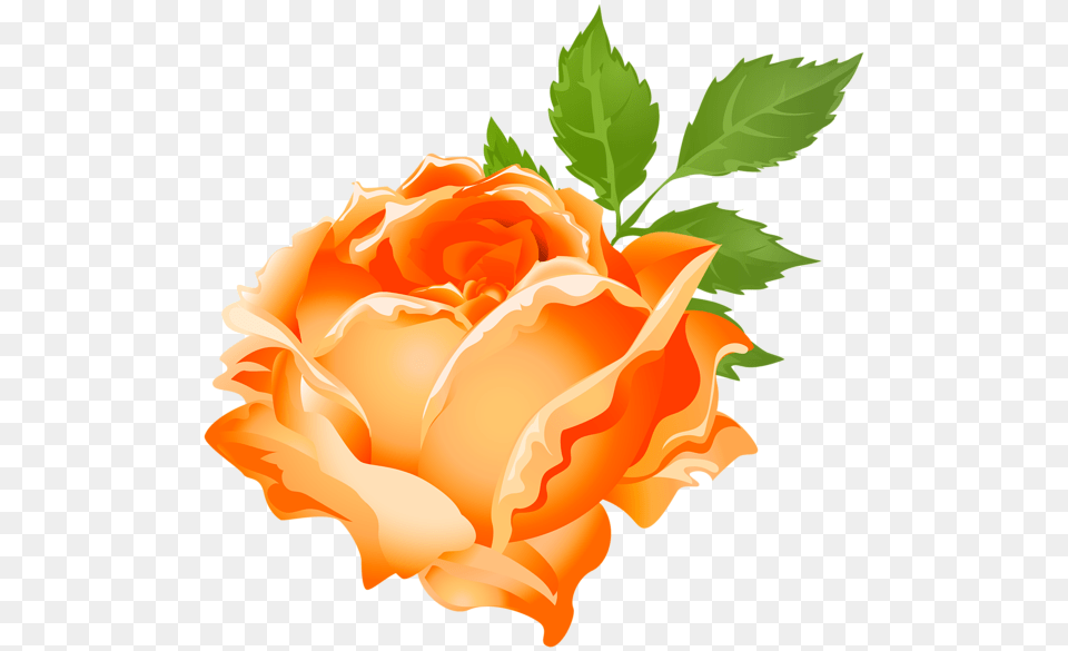 Rose Clipart Stick Orange Rose Flower Clipart, Petal, Plant, Leaf Free Png Download