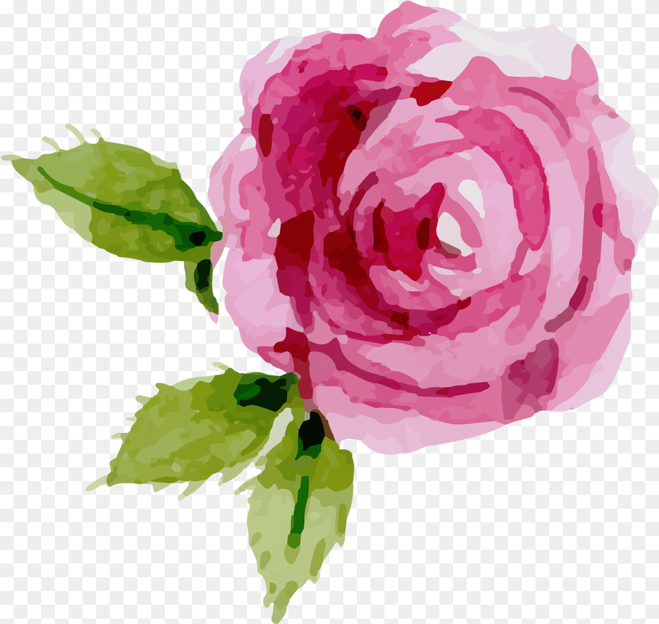 Rose Clipart Top Background Pink Rose Clipart, Flower, Plant, Petal Free Png