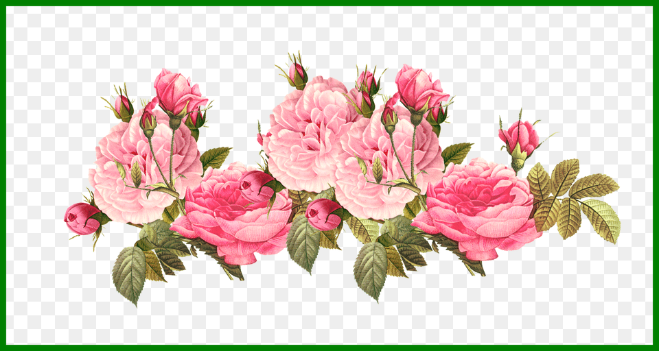 Rose Clipart Tumblr Great Free Clipart Silhouette Coloring Pink Vintage Rose, Flower Bouquet, Plant, Flower, Flower Arrangement Png Image