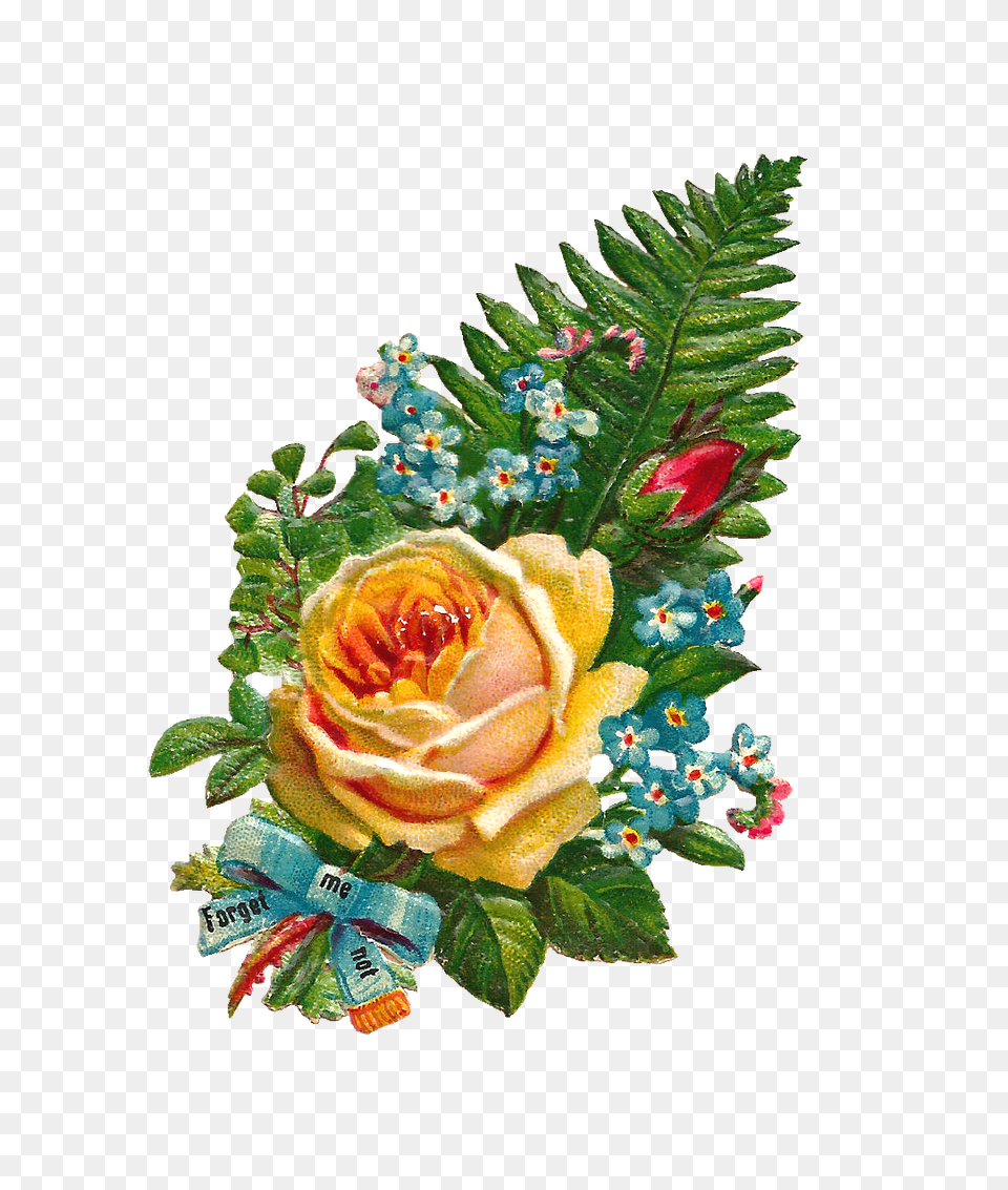Rose Clipart Watercolor, Plant, Pattern, Leaf, Flower Free Transparent Png