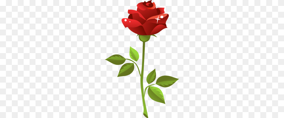 Rose Cliparts, Flower, Plant, Dynamite, Weapon Png Image
