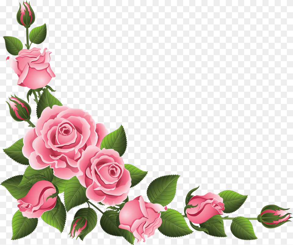 Rose Cliparts Transparent Decorative Pink Rose Border, Art, Flower, Graphics, Plant Free Png