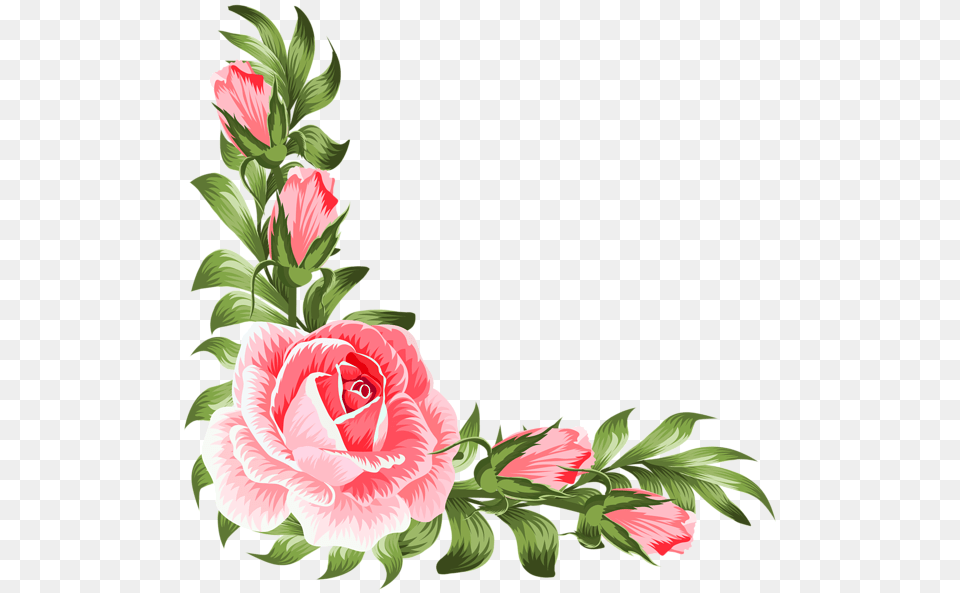 Rose Corner Border Design, Art, Floral Design, Flower, Graphics Png