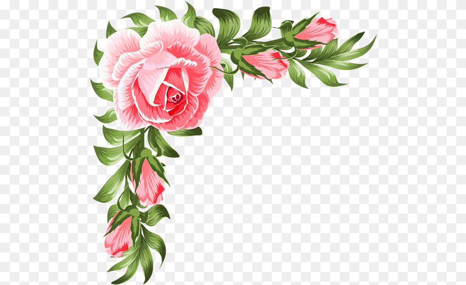 Rose Corner Decoration Clip Art Transparent Frame Corner Flower Roses, Floral Design, Graphics, Pattern, Plant Free Png