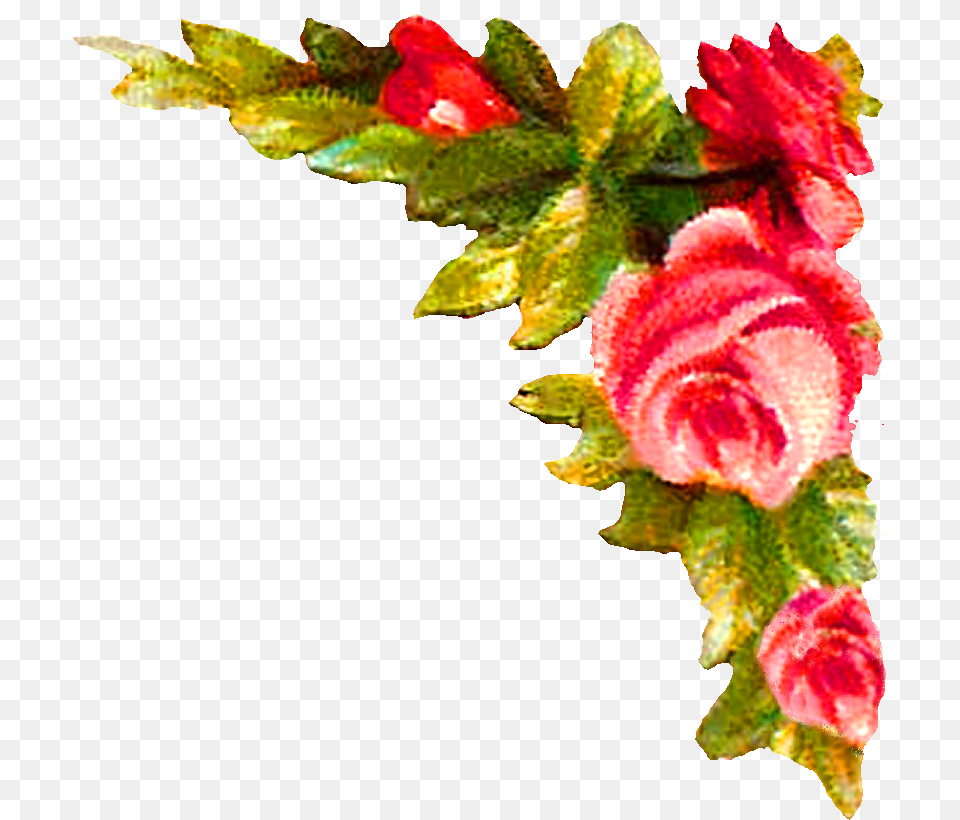 Rose Corner Design Illustration Gif Face Melt, Plant, Flower, Flower Arrangement, Pattern Free Transparent Png