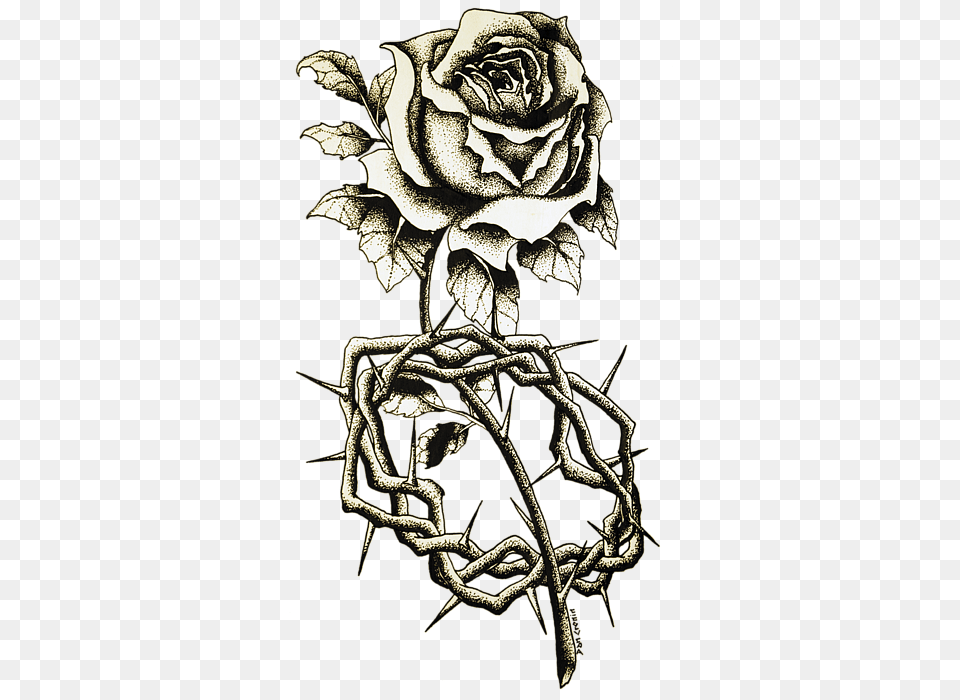 Rose Crown Thorns Duvet Cover For Sale By Daniel P Duvet, Flower, Plant, Art, Drawing Free Transparent Png