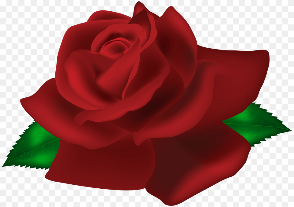 Rose Dark Red Clip Art, Flower, Plant Free Png