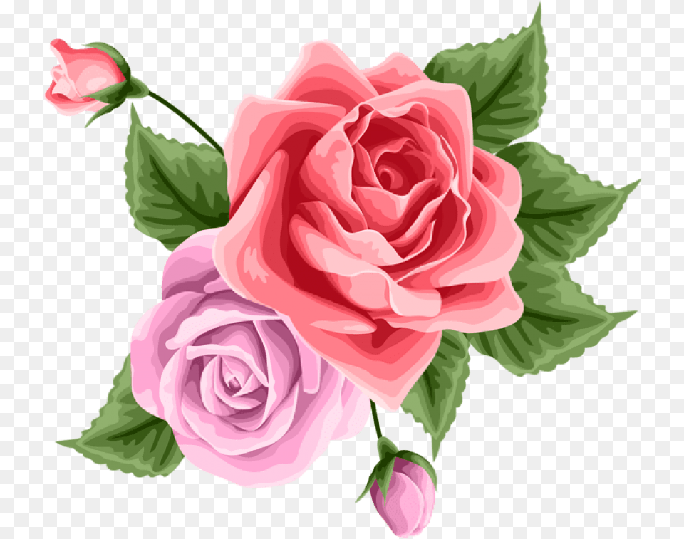 Rose Decoration Clipart Photo Clip Art, Flower, Plant Free Transparent Png