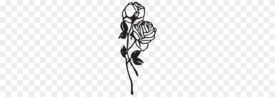 Rose Drawing Line Art Silhouette, Person, Head, Stencil Free Png