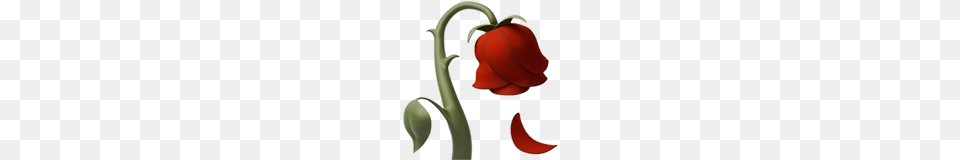 Rose Emoji, Flower, Petal, Plant Png Image