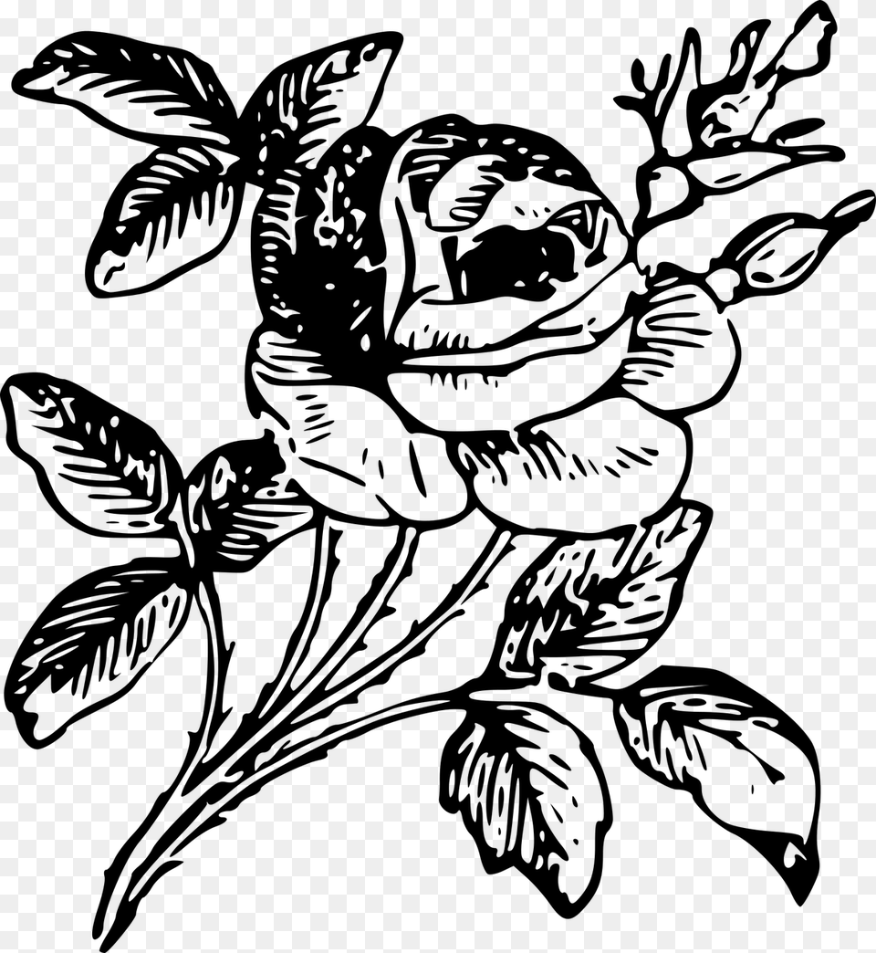 Rose Engraving Etching Flower Engraving, Gray Free Png