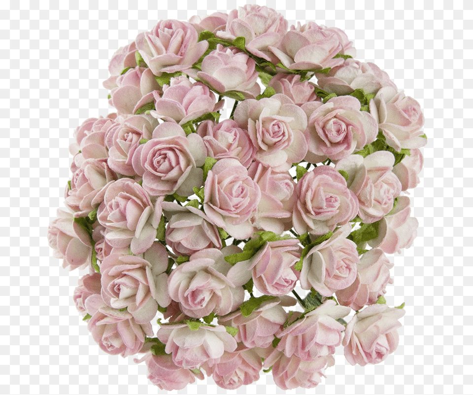 Rose Falling, Plant, Flower, Flower Arrangement, Flower Bouquet Free Png Download