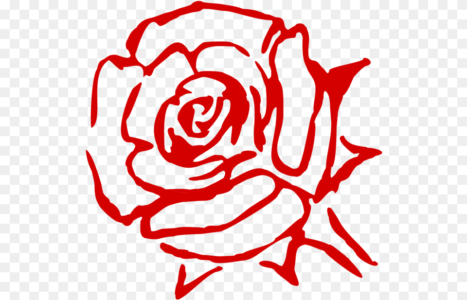 Rose Family Flower China Rose Garden Roses Cabbage Red Rose Outline, Plant, Person Png