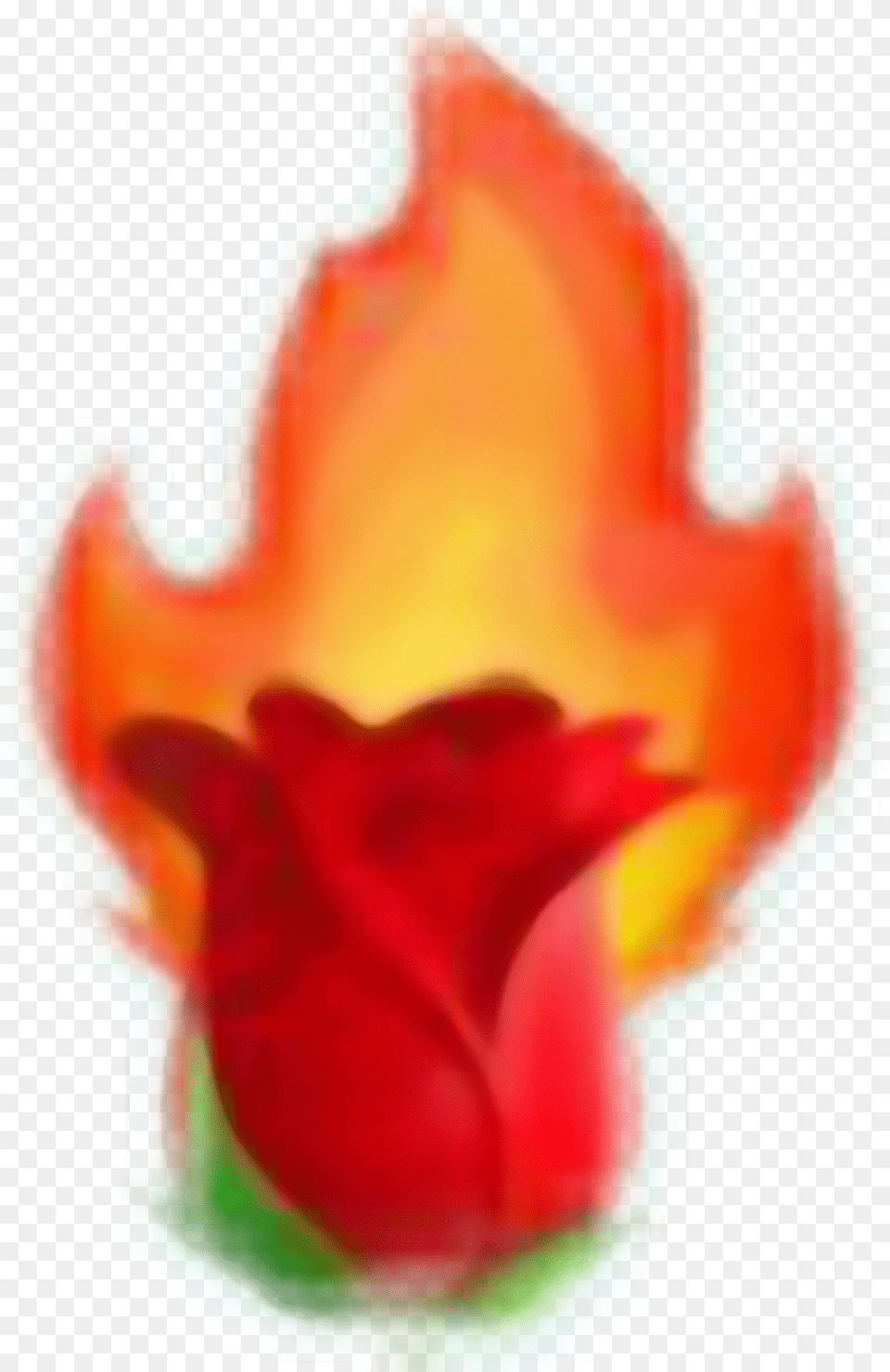 Rose Fire Tumblr Aesthetic Aestheticred Red Emojis Aesthetic Red Emojis, Flower, Petal, Plant, Leaf Free Png Download