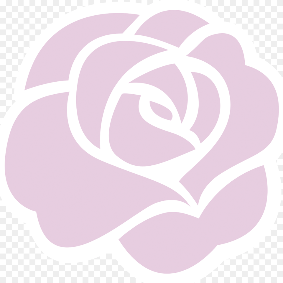 Rose Flat Icon, Flower, Plant, Petal, Carnation Png