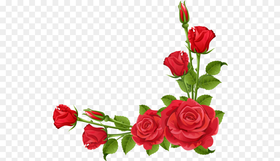 Rose Floral Design Garden Roses Flower Asma Ul Husna Ka Wazifa In Urdu, Plant, Flower Arrangement Free Transparent Png