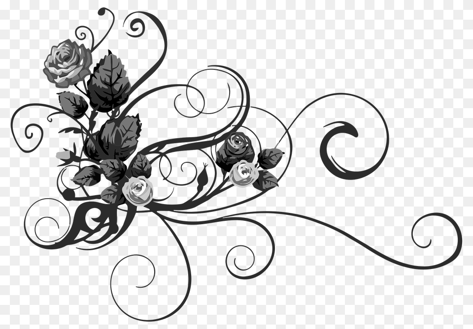 Rose Floral Flourish 2 Clipart, Art, Floral Design, Graphics, Pattern Png