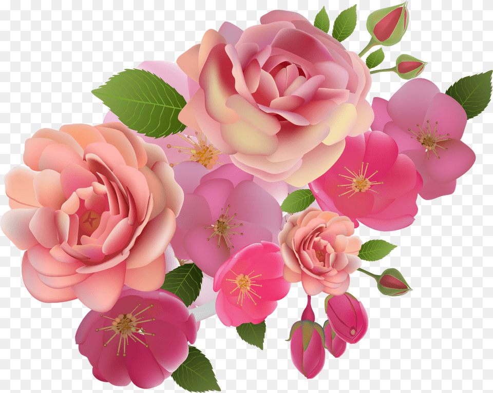 Rose Floribunda, Flower, Flower Arrangement, Flower Bouquet, Plant Free Transparent Png