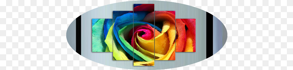 Rose Flower 5 Piece Wall Art Global Shipping U0026 Framed Rose, Plant Free Png Download
