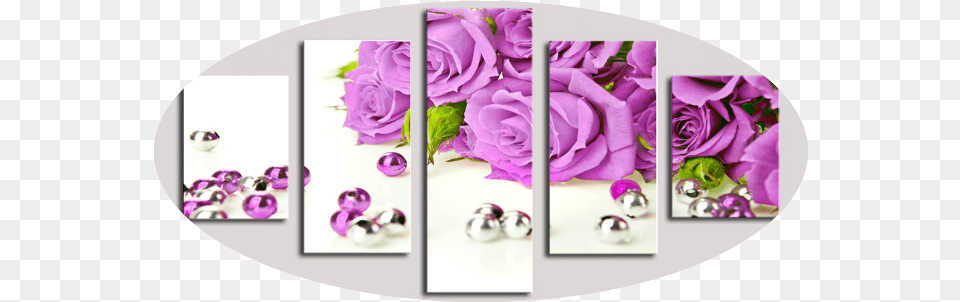 Rose Flower 5 Piece Wall Art Global Shipping U0026 Framed Lila Rosen, Collage, Graphics, Plant, Floral Design Free Png Download