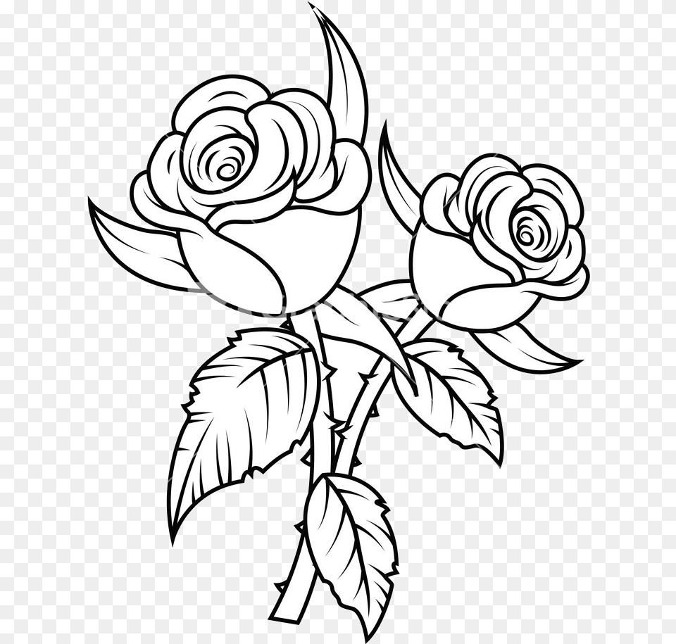 Rose Flower Black And White Clip Art Rose Image Black And White, Pattern, Graphics, Floral Design, Plant Free Png Download