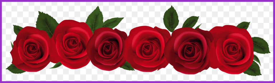 Rose Flower Border, Plant Free Transparent Png