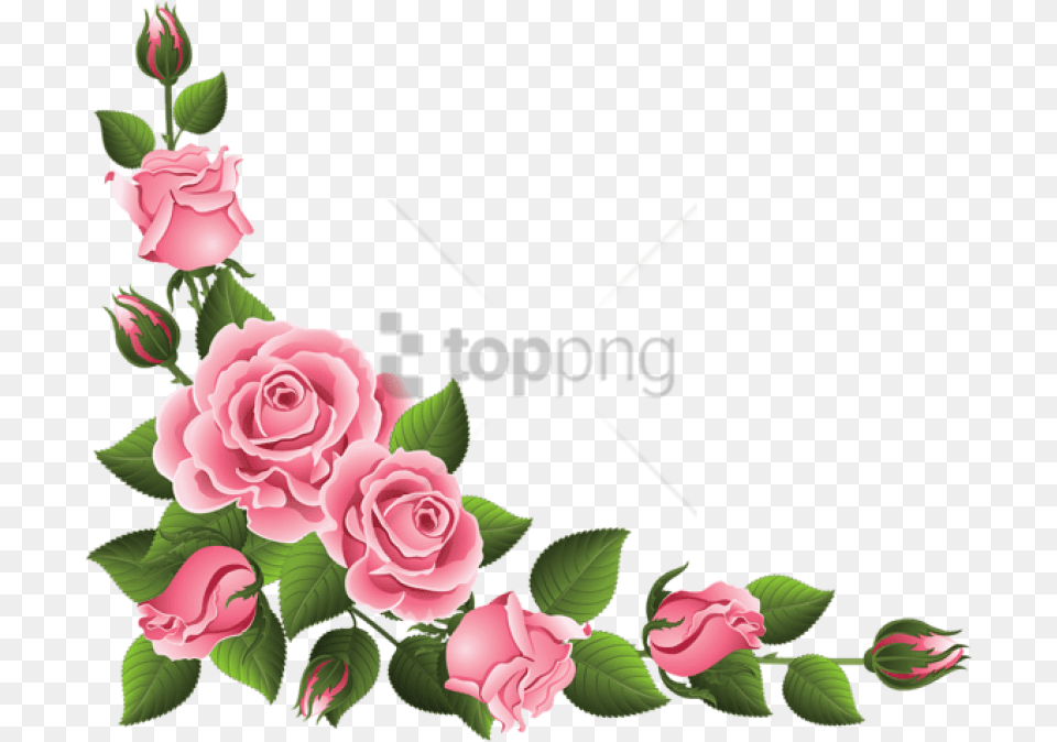 Rose Flower Border, Art, Graphics, Plant, Pattern Free Png