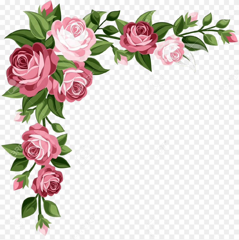Rose Flower Border Design, Art, Plant, Pattern, Graphics Png Image