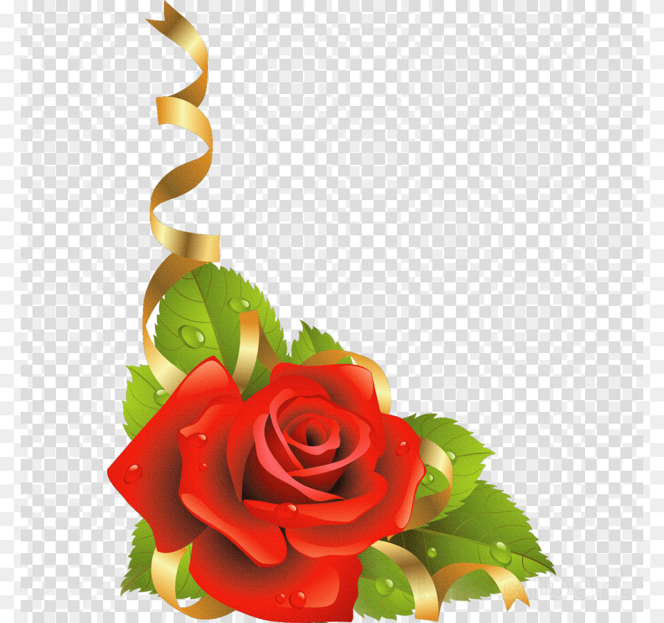 Rose Flower Border Designs, Plant, Art, Graphics, Pattern Free Transparent Png