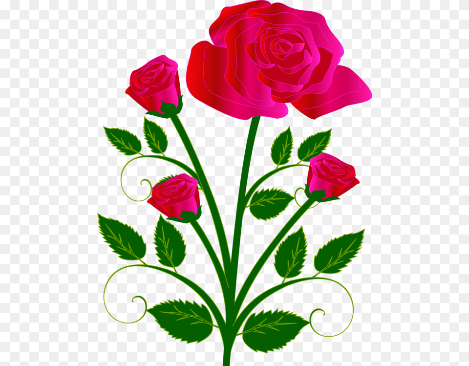 Rose Flower Bouquet Drawing Red, Plant, Pattern, Art, Graphics Free Transparent Png