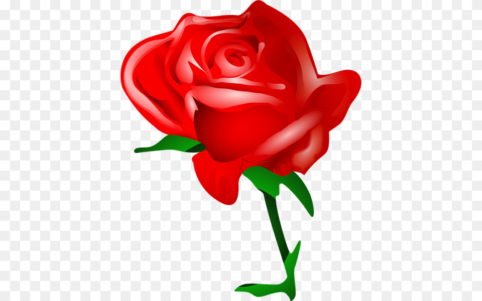 Rose Flower Clip Art, Plant Png