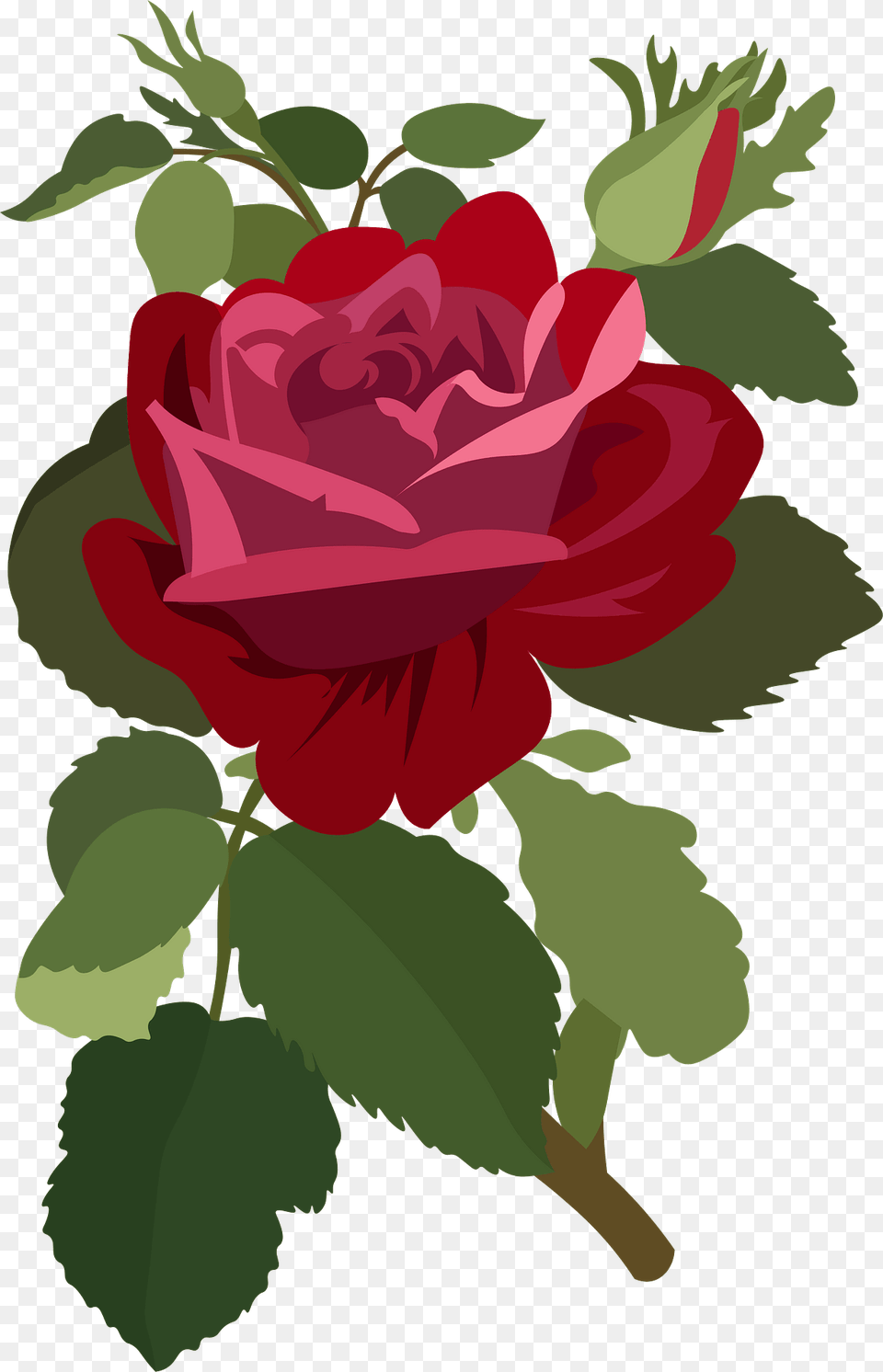 Rose Flower Clipart, Plant Free Png