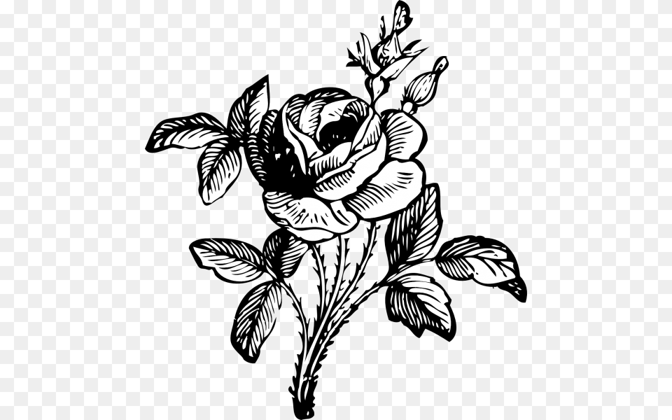 Rose Flower Clipart Black And White Nice Clip Art, Drawing, Graphics, Floral Design, Pattern Free Png