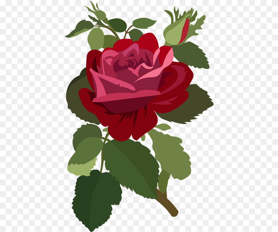 Rose Flower Clipart Floral, Plant, Person Free Transparent Png