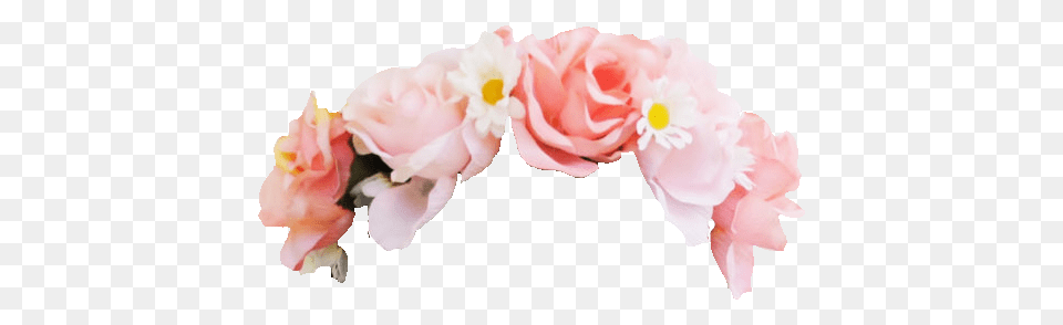 Rose Flower Crown Snapchat Filter, Flower Arrangement, Petal, Plant, Flower Bouquet Png Image