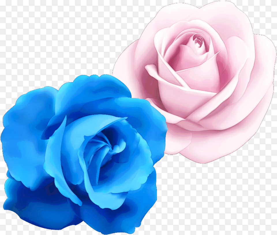Rose Flower Cute Colorful Handpainted Watercolor Rose Blue, Plant Free Png Download