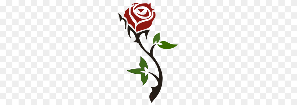 Rose Flower Floral Design Watercolor Painting, Plant, Cross, Symbol Png Image