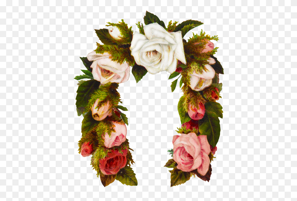 Rose Flower Frame Horse Shoe Shaped Rose, Flower Arrangement, Plant, Art, Floral Design Free Png Download