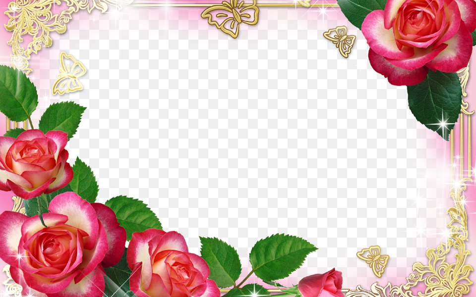 Rose Flower Frame Khwab Mein Azan Dene Ki Tabeer, Plant, Petal, Mail, Greeting Card Free Png