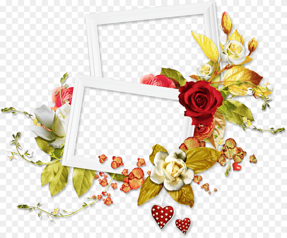 Rose Flower Frame Two Flower Frame, Flower Arrangement, Flower Bouquet, Plant, Art Png