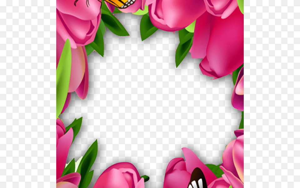 Rose Flower Frame With Butterfly Beautiful Pink Rose Flower, Art, Floral Design, Graphics, Pattern Free Png