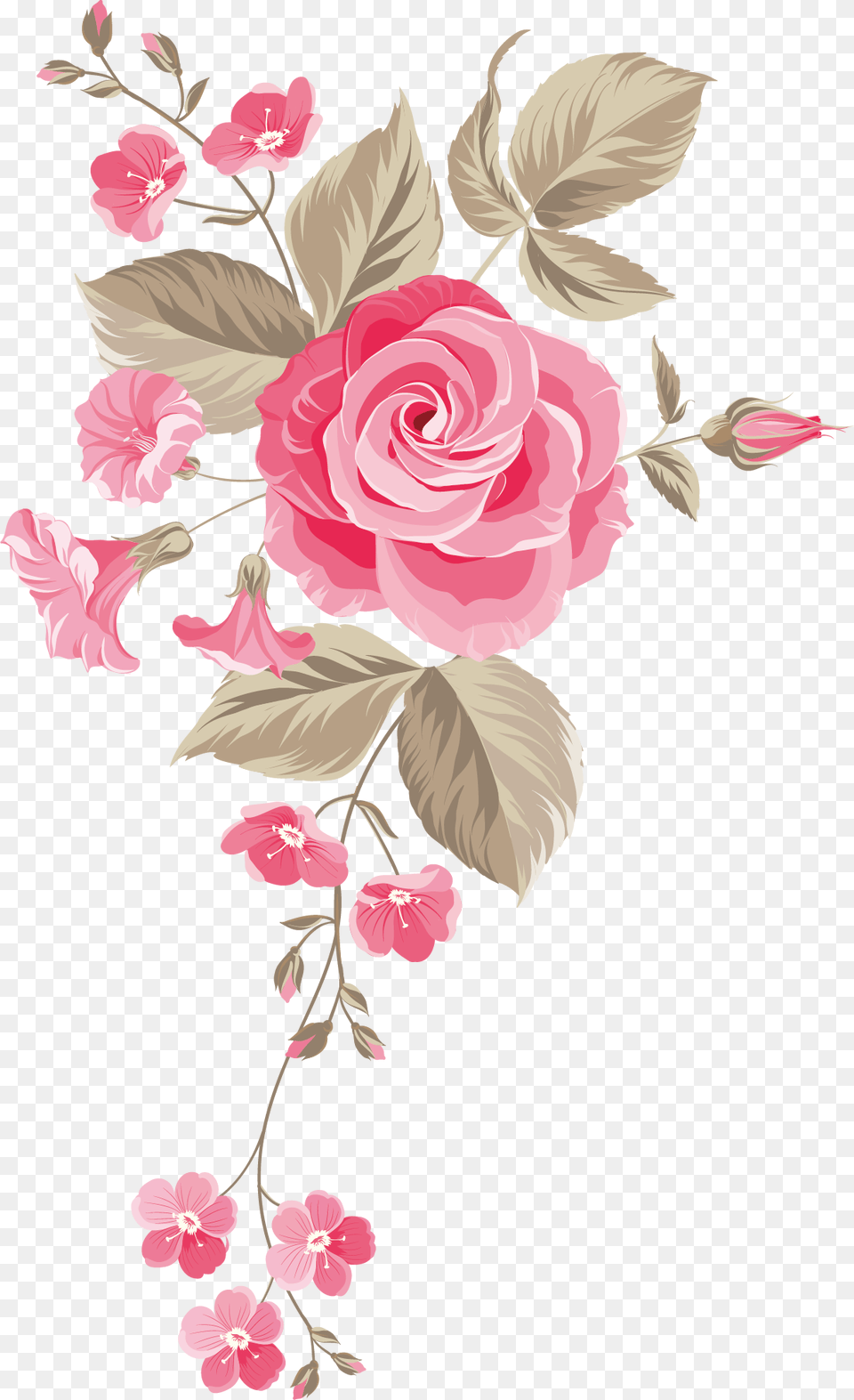 Rose Flower Image Searchpng Transparent Background Pink Roses, Art, Floral Design, Graphics, Pattern Free Png Download