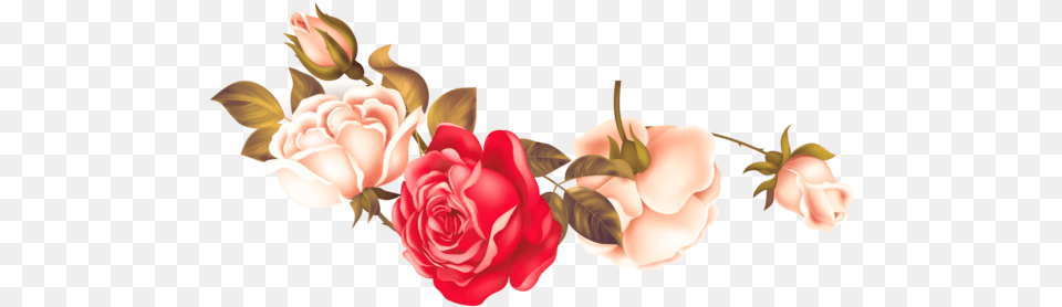 Rose Flower Searchpngcom Garden Roses, Plant, Petal, Art, Graphics Png Image