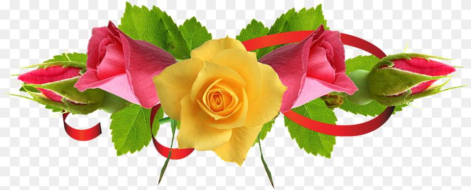 Rose Flower Images 4 Image Red And Yellow Flower, Flower Arrangement, Flower Bouquet, Plant Png