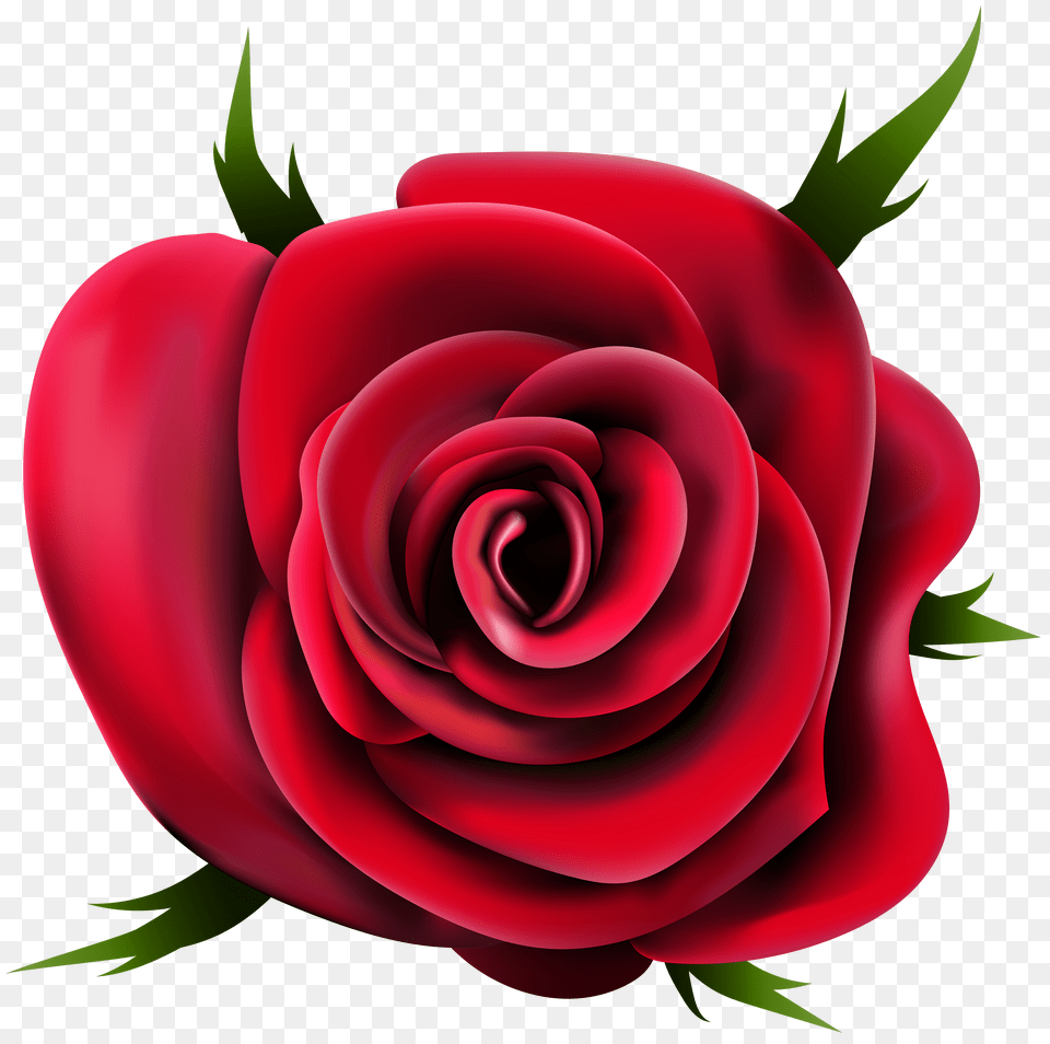 Rose Flower Images Free Download Rose Flower Clip Art Png Image
